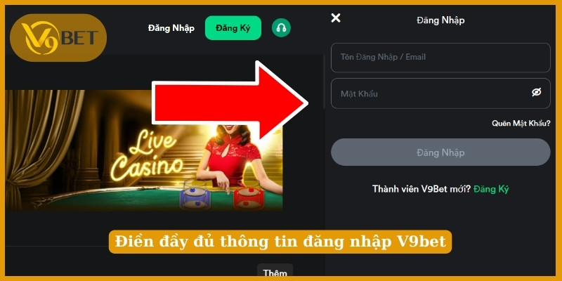 Điền đầy đủ thông tin đăng nhập V9bet